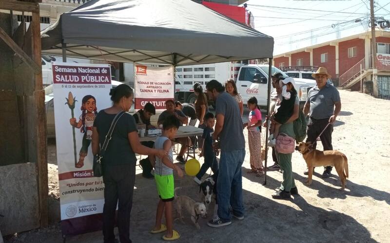 Refuerzan acciones contra rickettsia en el Altiplano