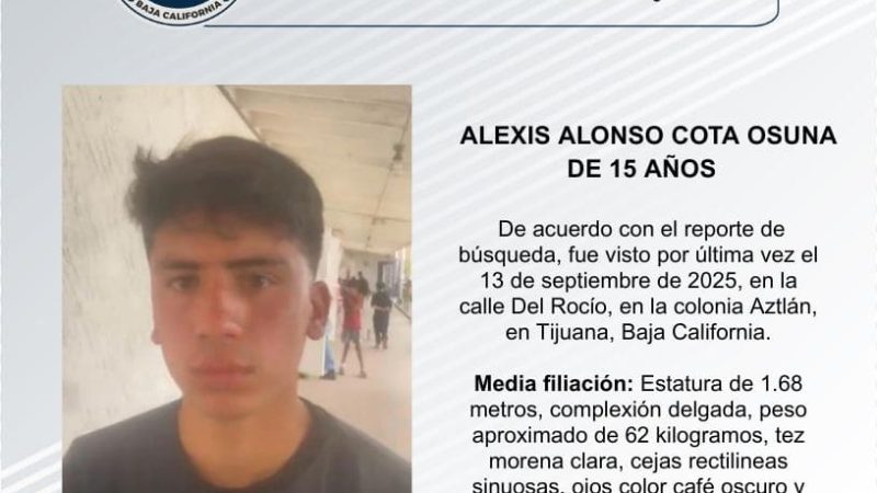 Pesquisa de Alexis Alonso Cota Osuna de 15 años