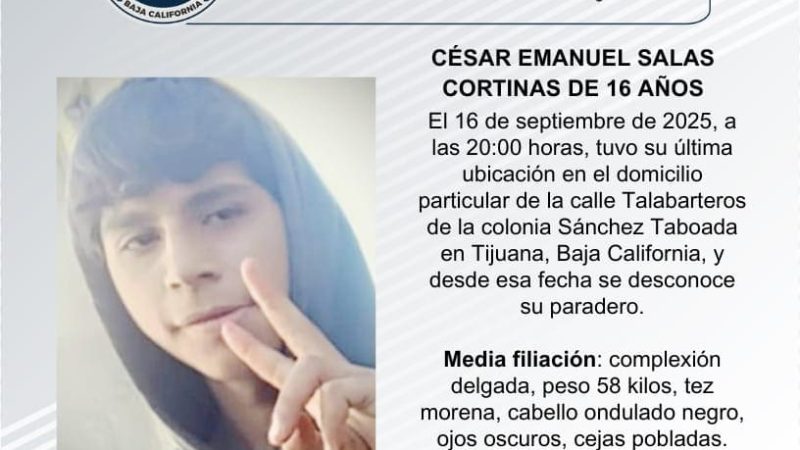 Pesquisa de César Emanuel Salas Cortinas de 16 años de edad