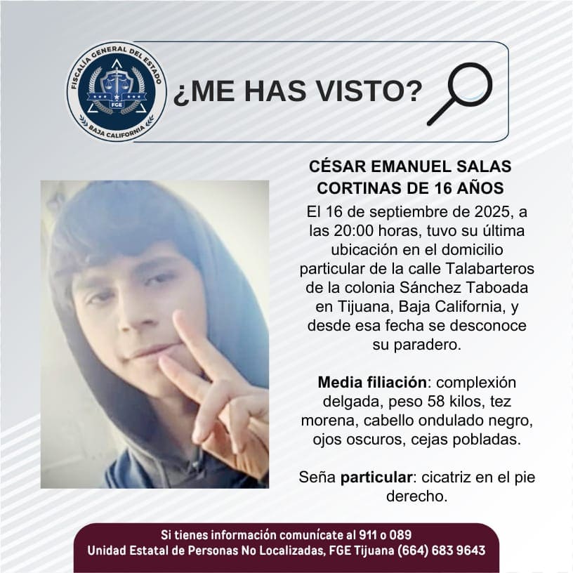 Pesquisa de César Emanuel Salas Cortinas de 16 años de edad