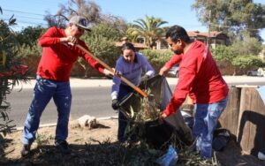 Gobierno de Tecate transforma camellón frente a INIDE con jornada de limpieza