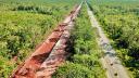 Tribunal de los Derechos de la Naturaleza ratifica sentencia de ecocidio contra el Tren Maya