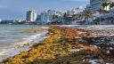 Diputados aprueban ley para garantizar libre acceso a playas; prohiben cualquier tipo de cobro no regulado