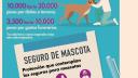 ¿Vas a comprar o adoptar un lomito? Esto cuesta mantener un perro