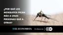 Islandia encuentra mosquitos por primera vez en su territorio por el calentamiento global