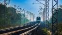 Semarnat reconoce daños del Tren Maya; busca "regularizar" la obra con revisión de permisos