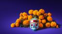 Productores de cempasúchil en Puebla prevén derrama por 40 millones de pesos por Día de Muertos