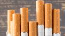 Mercado ilegal de cigarros abarca el 28% del consumo en México: IPN