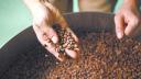 Amantes del café en Nueva York enfrentan vertiginoso aumento de precios
