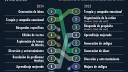 Top 10: Principales usos de la Inteligencia Artificial entre los mexicanos