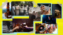 Conoce las celebraciones y efemérides de noviembre 2025