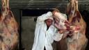 Trump pide a los ganaderos de EU bajar precios de la carne tras beneficiarse de los aranceles