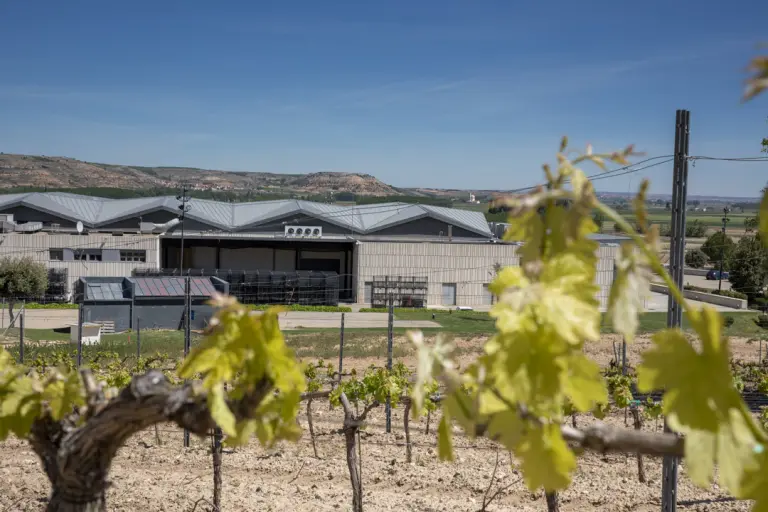 Entre pasado y futuro: La mirada de José Moro en Cepa 21