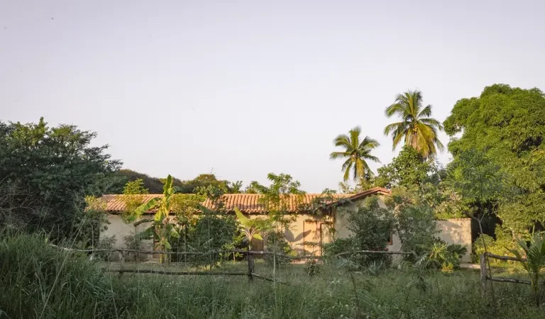 Arquitectura que genera valor: Estudio BAO impulsa la plusvalía inmobiliaria con diseño sustentable