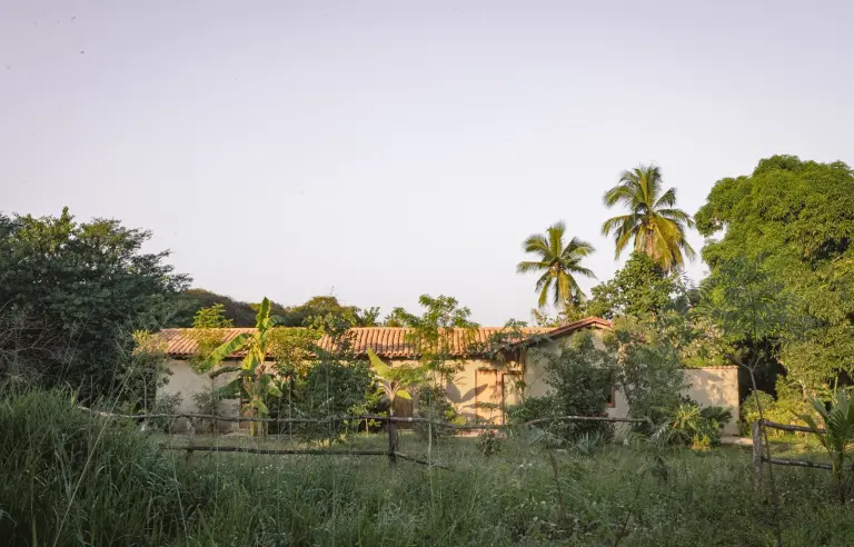 Arquitectura que genera valor: Estudio BAO impulsa la plusvalía inmobiliaria con diseño sustentable