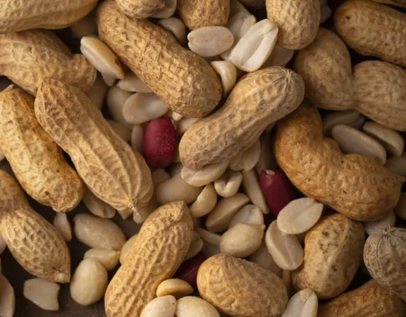 Día del Cacahuate: El superalimento que México convirtió en gran tradición