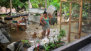 Aumentó a 78 el número de muertos por las lluvias; 85,221 hogares ya fueron censados