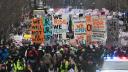 "No a los reyes": multitudes de estadounidenses marcharon contra Trump