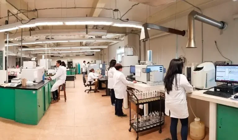 El litio en México, de la ilusión a la incertidumbre