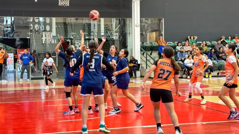 Inicia la cuenta regresiva para la Copa Zonkeys 2025