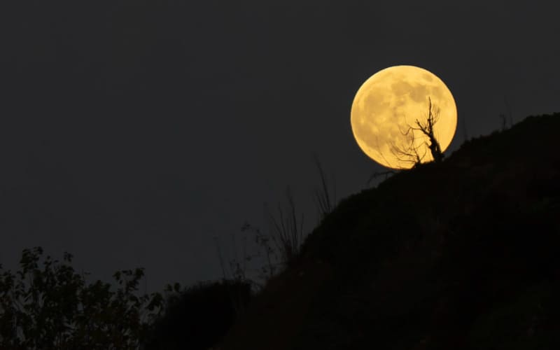 Luna llena en Tijuana revela un espectáculo en el cielo de la frontera