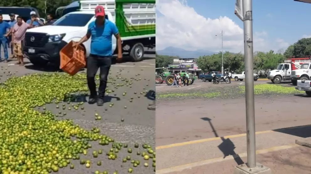 AGRICULTORES DE TODO EL PAÍS BLOQUEAN CARRETERAS Y EXIGEN PRECIOS JUSTOS; DENUNCIAN TAMBIÉN EXTORSIÓN Y OLVIDO GUBERNAMENTAL