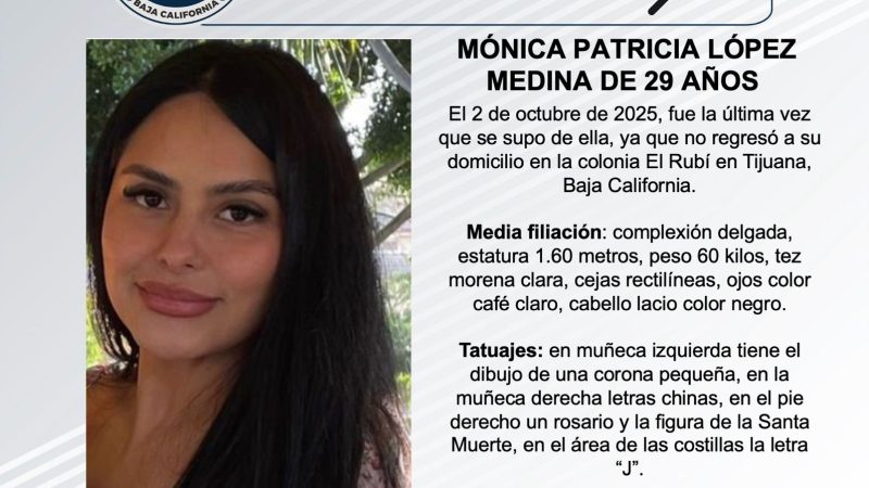 Pesquisa de Mónica Patricia López Medina de 29 años de edad