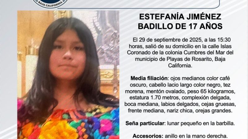 Pesquisa de Estefanía Jiménez Badillo de 17 años de edad