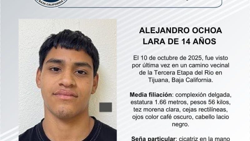 Pesquisa de Alejandro Ochoa Lara de 14 años de edad