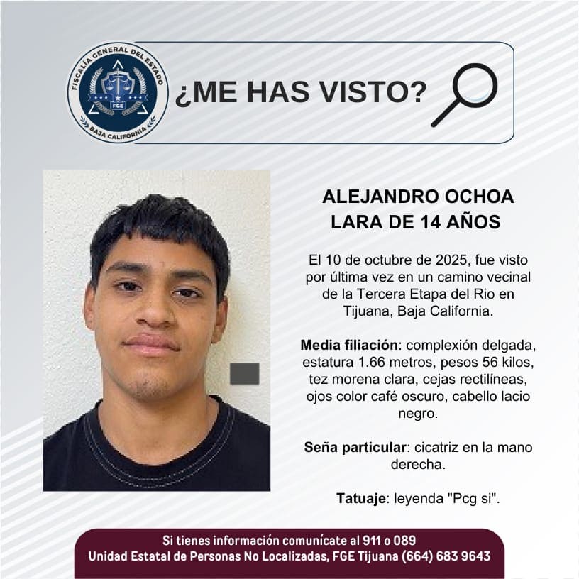 Pesquisa de Alejandro Ochoa Lara de 14 años de edad