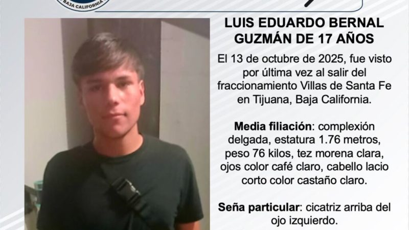 Pesquisa de Luis Eduardo Bernal Guzmán de 17 años de edad