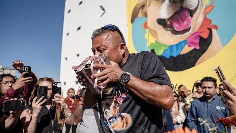 Despiden con amor a “Chicles”, el perrito corredor de Tijuana