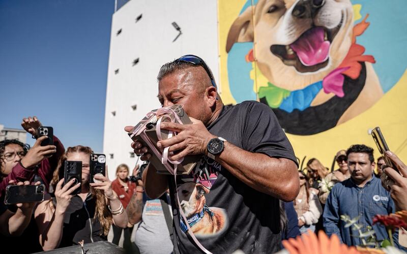 Despiden con amor a “Chicles”, el perrito corredor de Tijuana