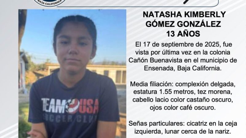 Pesquisa de Natasha Kimberly Gómez González de 13 años