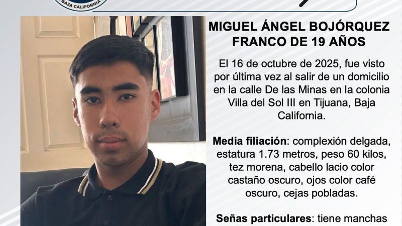 Pesquisa de Miguel Ángel Bojórquez Franco de 19 años