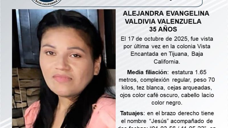 Pesquisa de Alejandra Evangelina Valdivia Valenzuela de 35 años de edad
