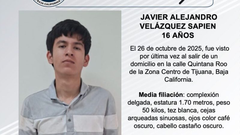 Pesquisa de Javier Alejandro Velázquez Sapien de 16 años