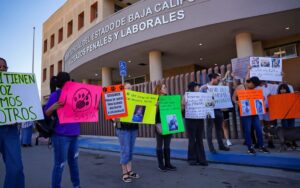 Exigen justicia por maltrato de ocho perros en Tijuana