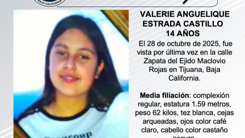 Pesquisa de Valerie Anguelique Estrada Castillo de 14 años de edad