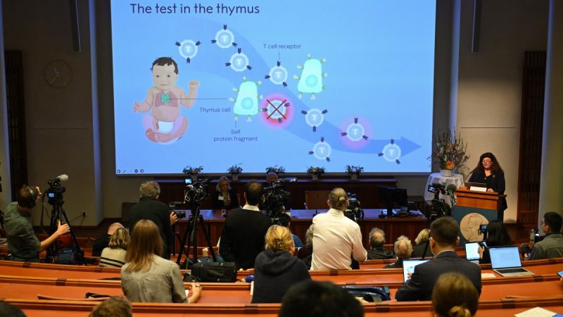 Estados Unidos y Japón se llevan el Premio Nobel de Medicina 2025