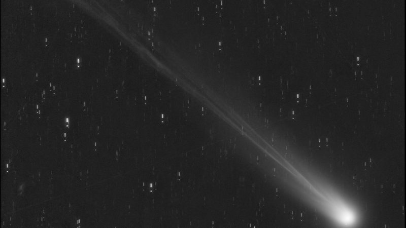 El cometa Lemmon sí será visible desde México antes de desaparecer por mil años