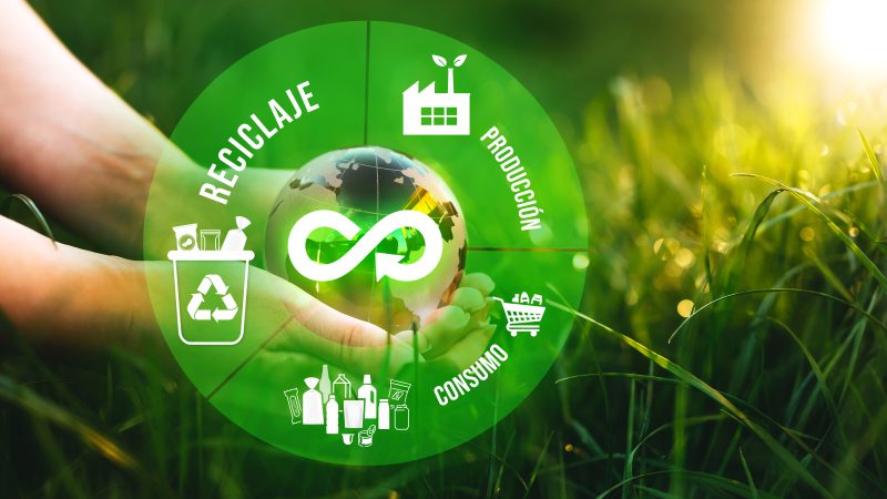 Reciclaje, una estrategia empresarial sostenible