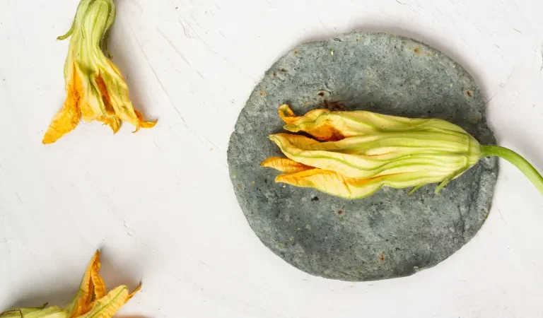 Flor de calabaza: Beneficios, propiedades y legado prehispánico de este tesoro mexicano