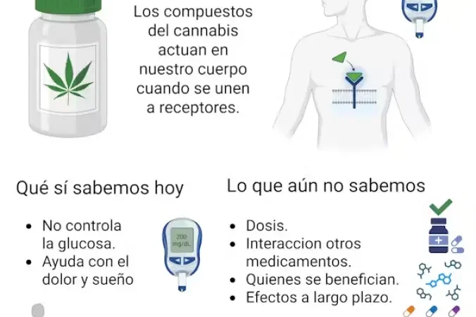 Los efectos del cannabis medicinal en los pacientes con diabetes: ¿qué se sabe y qué no?