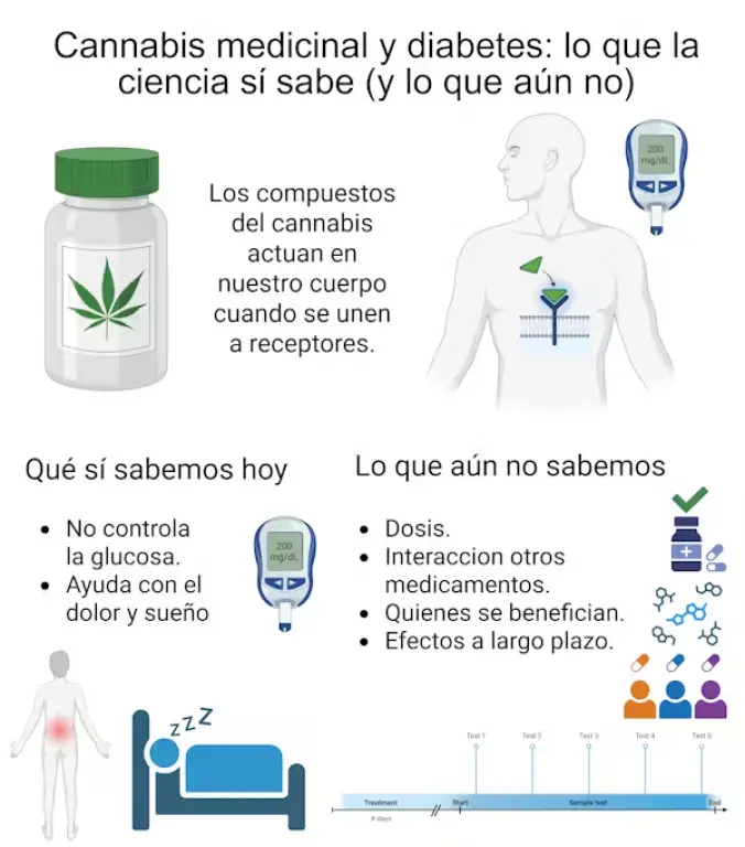 Los efectos del cannabis medicinal en los pacientes con diabetes: ¿qué se sabe y qué no?
