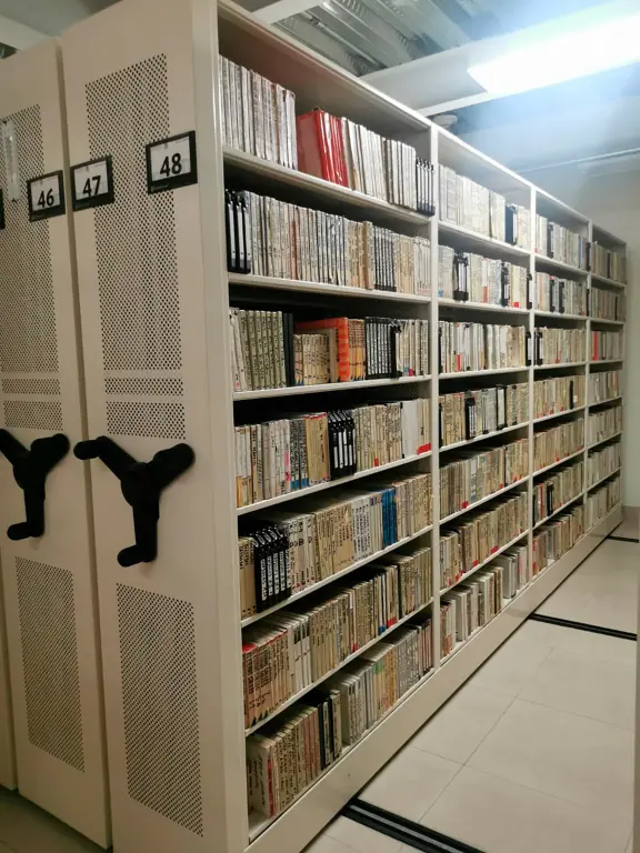 Inicia la extinción masiva de cintas y casetes