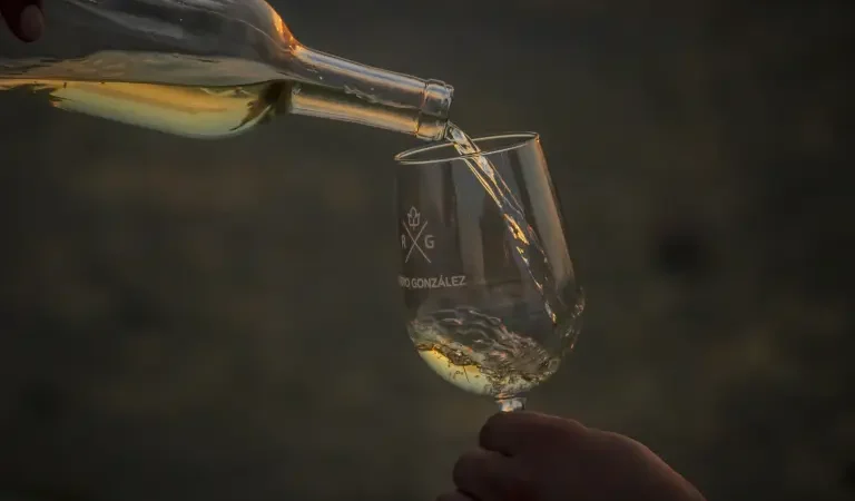 Parras, origen del vino en América y el oasis donde nacen las nuevas bodegas mexicanas