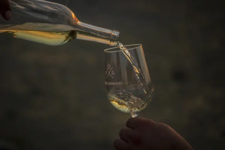 Parras, origen del vino en América y el oasis donde nacen las nuevas bodegas mexicanas