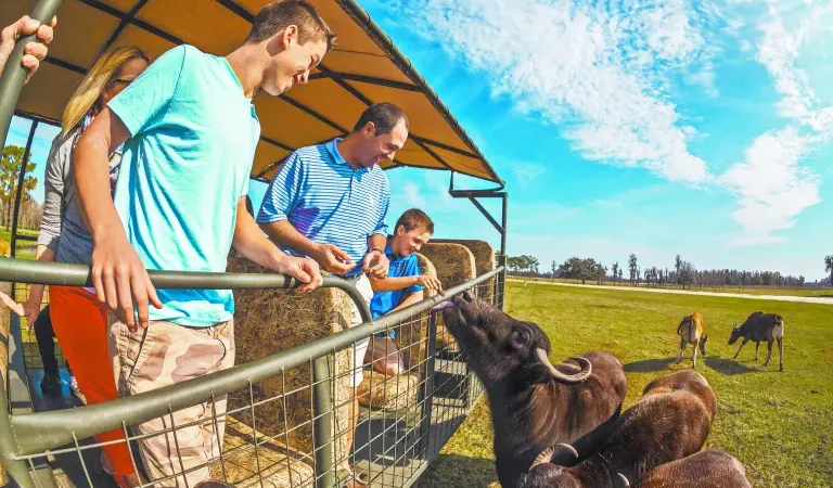 Florida Central en familia: parques, lagos y museos en Polk