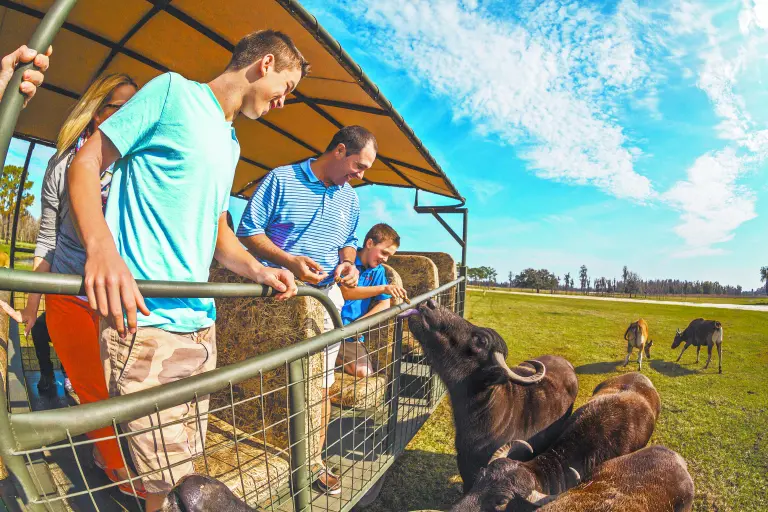 Florida Central en familia: parques, lagos y museos en Polk